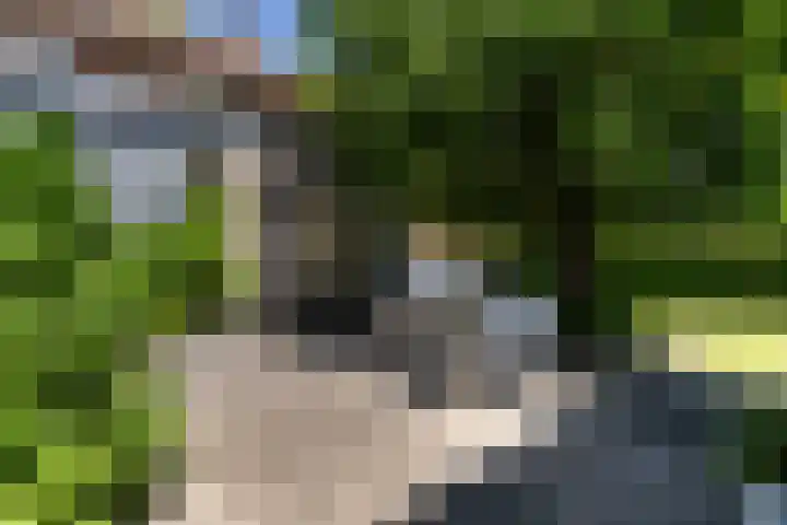 Regentesselaan 26 Weert thumbnail 41