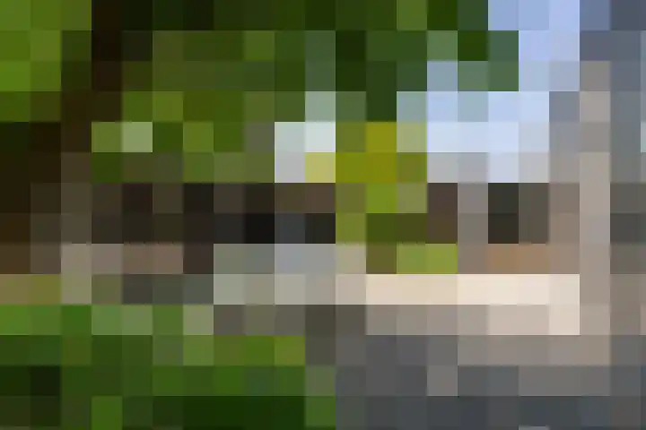 Regentesselaan 26 Weert thumbnail 42