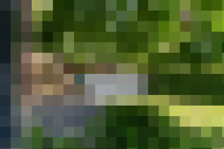 Regentesselaan 26 Weert thumbnail 43