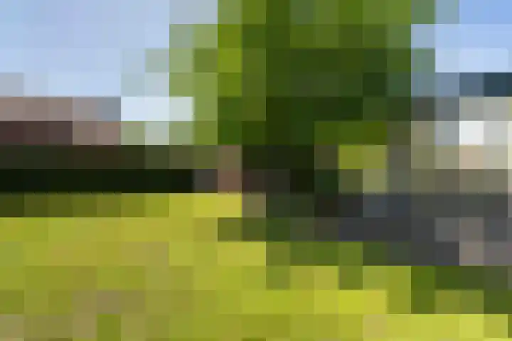 Regentesselaan 26 Weert thumbnail 44