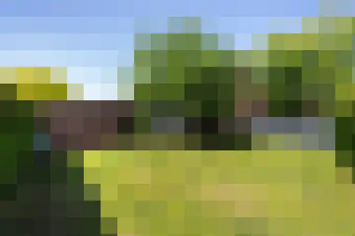 Regentesselaan 26 Weert thumbnail 45