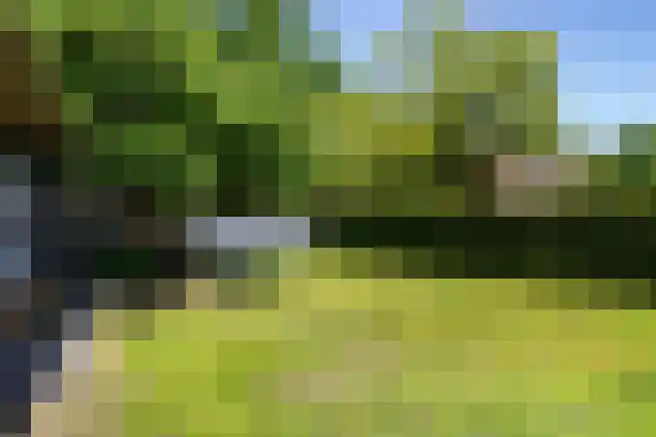 Regentesselaan 26 Weert thumbnail 46