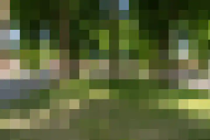 Regentesselaan 26 Weert thumbnail 51