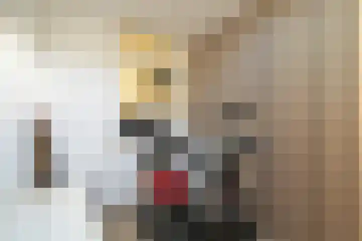 Regentesselaan 261 Den Haag thumbnail 27