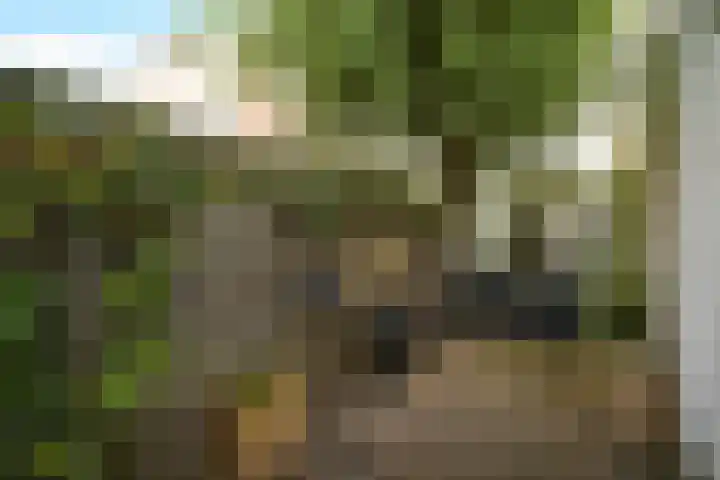 Regentesselaan 261 Den Haag thumbnail 37
