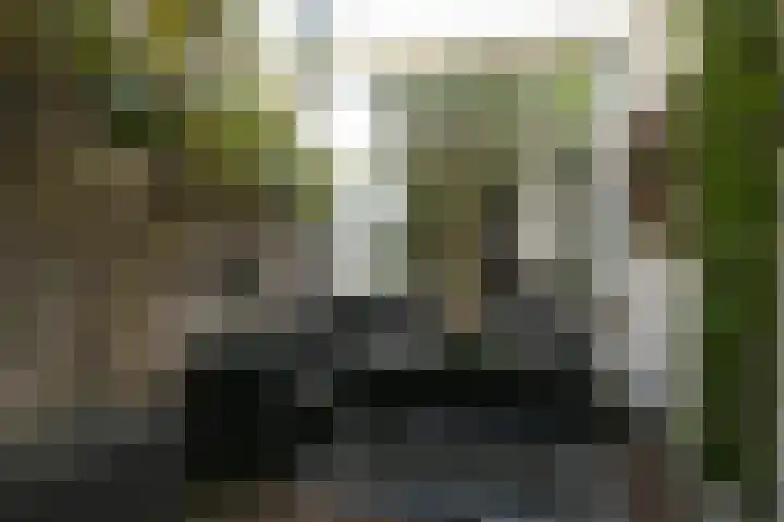 Regentesselaan 261 Den Haag thumbnail 38