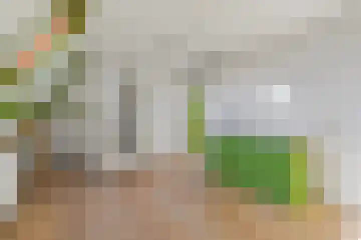 Regentesselaan 264 A Den Haag thumbnail 14