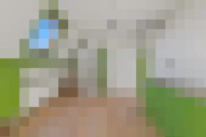 Regentesselaan 264 A Den Haag thumbnail 18