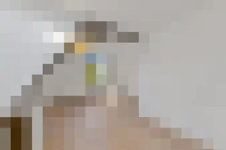 Regentesselaan 264 A Den Haag thumbnail 6