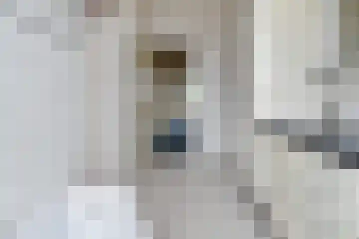 Regentesselaan 274 Den Haag thumbnail 36