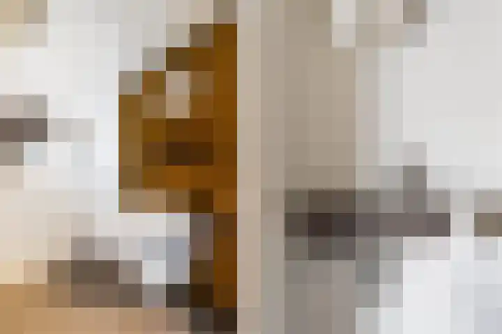 Regentesselaan 285 B Den Haag thumbnail 15