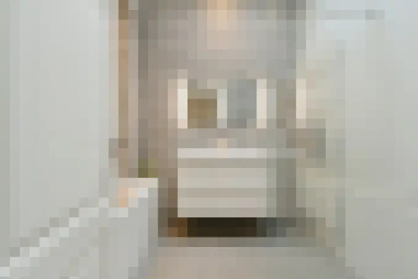 Regentesselaan 297 Den Haag thumbnail 17