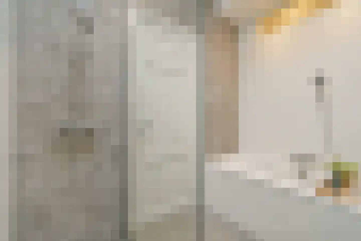 Regentesselaan 297 Den Haag thumbnail 18
