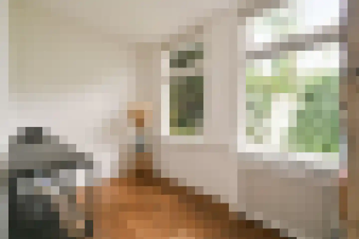 Regentesselaan 297 Den Haag thumbnail 19