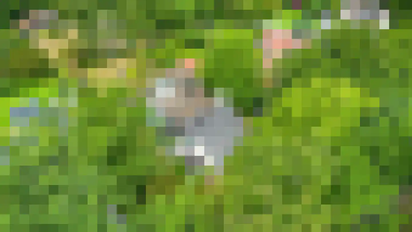 Regentesselaan 3 Hilversum thumbnail 4