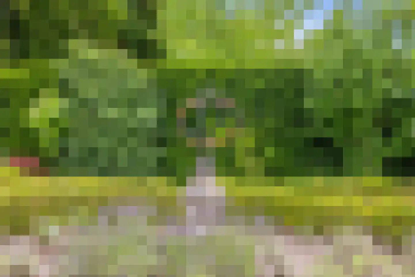 Regentesselaan 3 Hilversum thumbnail 51