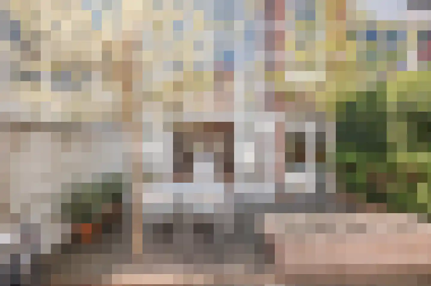 Regentesselaan 30 Den Haag thumbnail 4