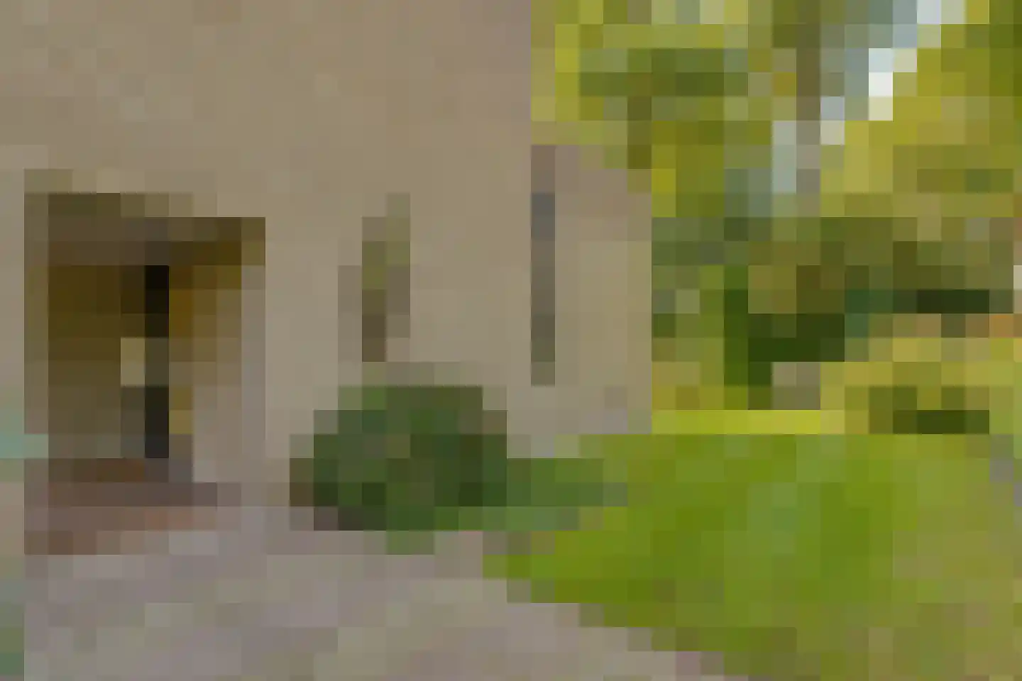 Regentesselaan 30 Hilversum thumbnail 12
