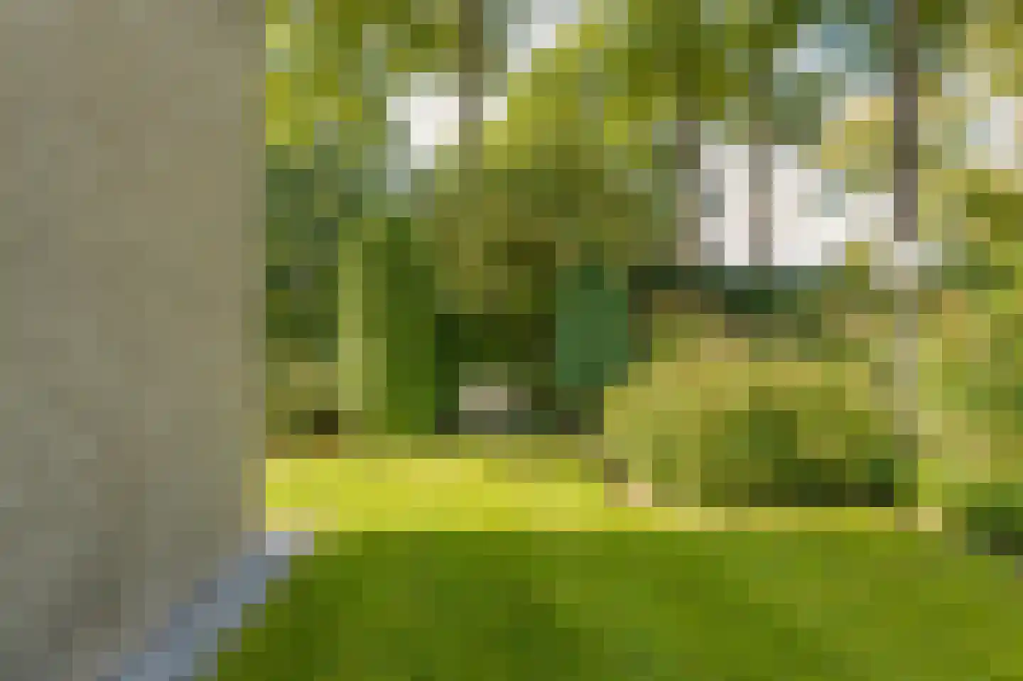 Regentesselaan 30 Hilversum thumbnail 51