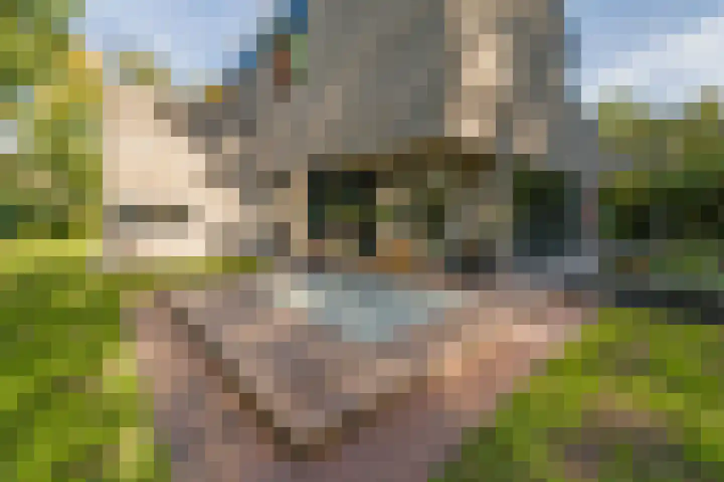 Regentesselaan 30 Hilversum thumbnail 53