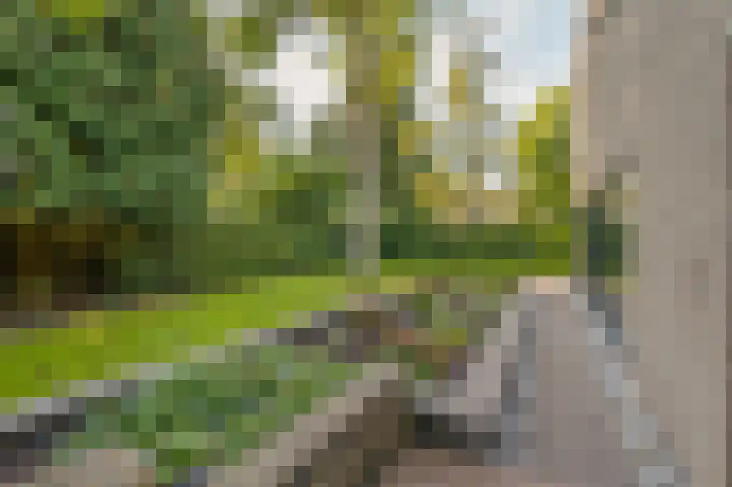 Regentesselaan 30 Hilversum thumbnail 54