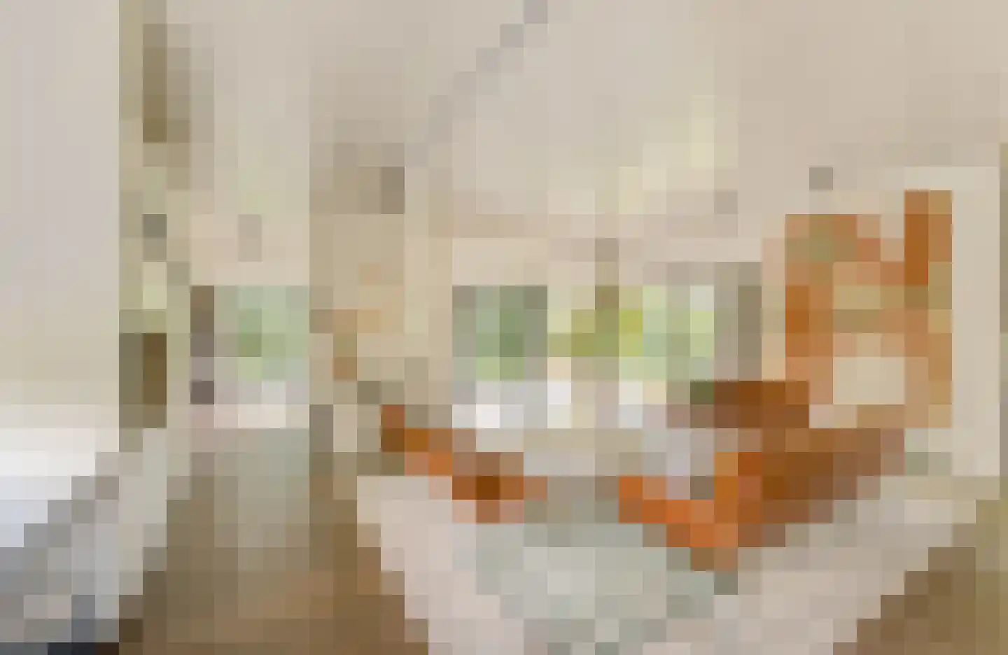 Regentesselaan 30 Hilversum thumbnail 6