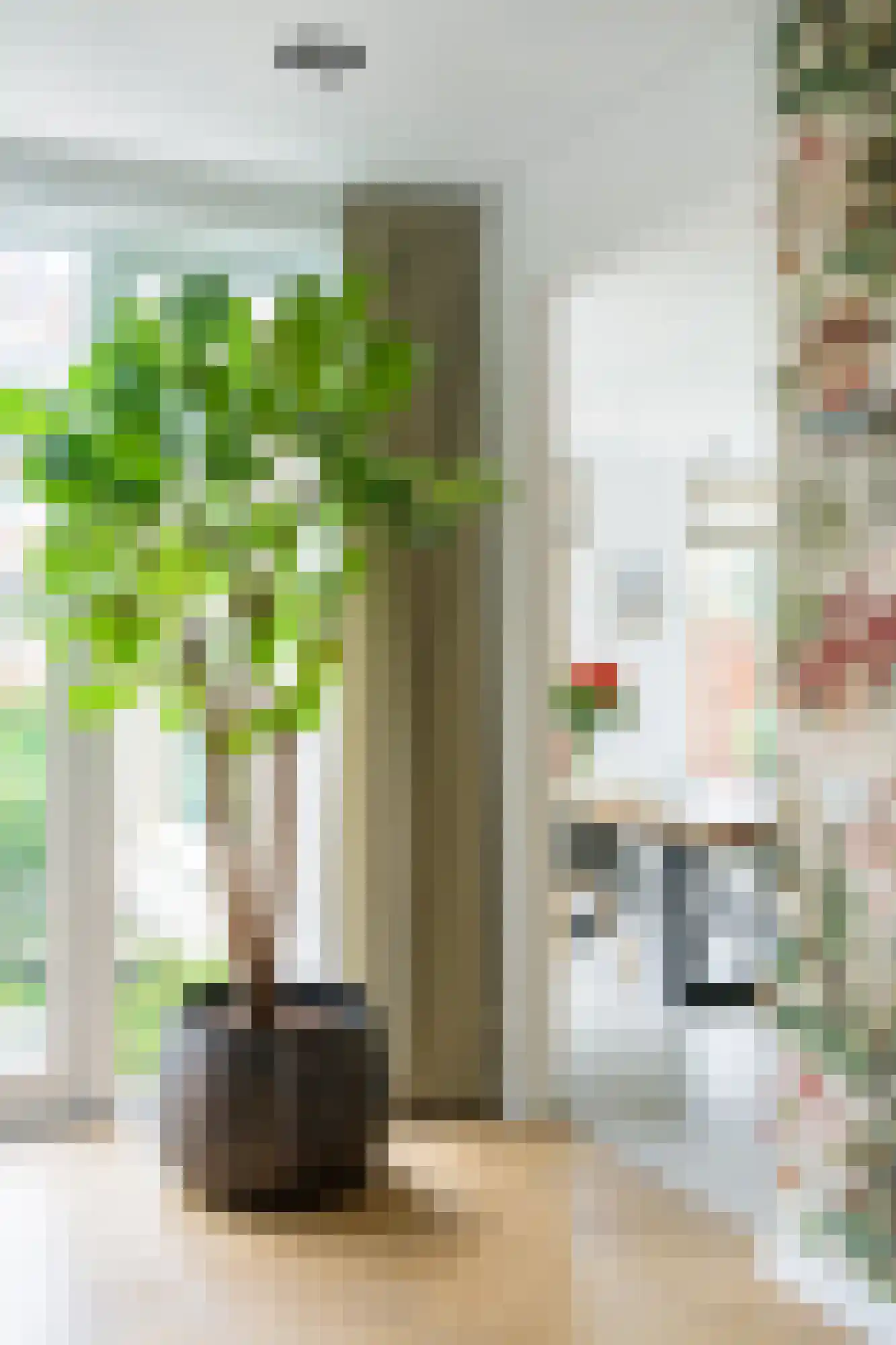 Regentesselaan 31 Breda thumbnail 30