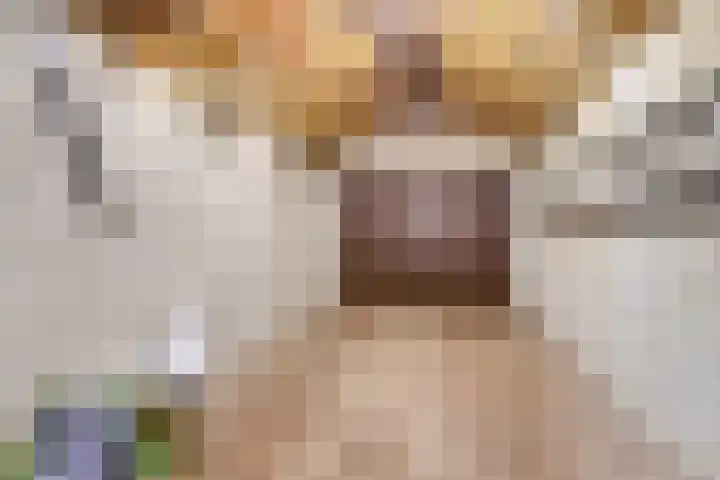 Regentesselaan 31 Breda thumbnail 32