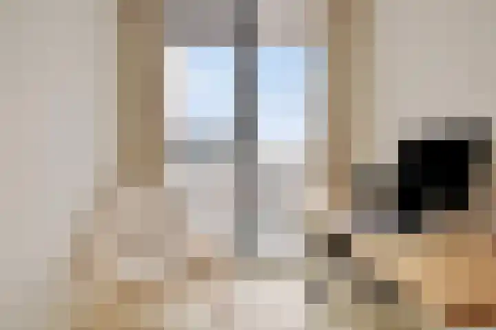Regentesselaan 31 Breda thumbnail 40