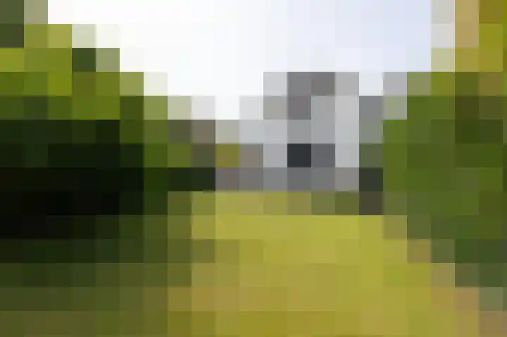 Regentesselaan 31 Breda thumbnail 84