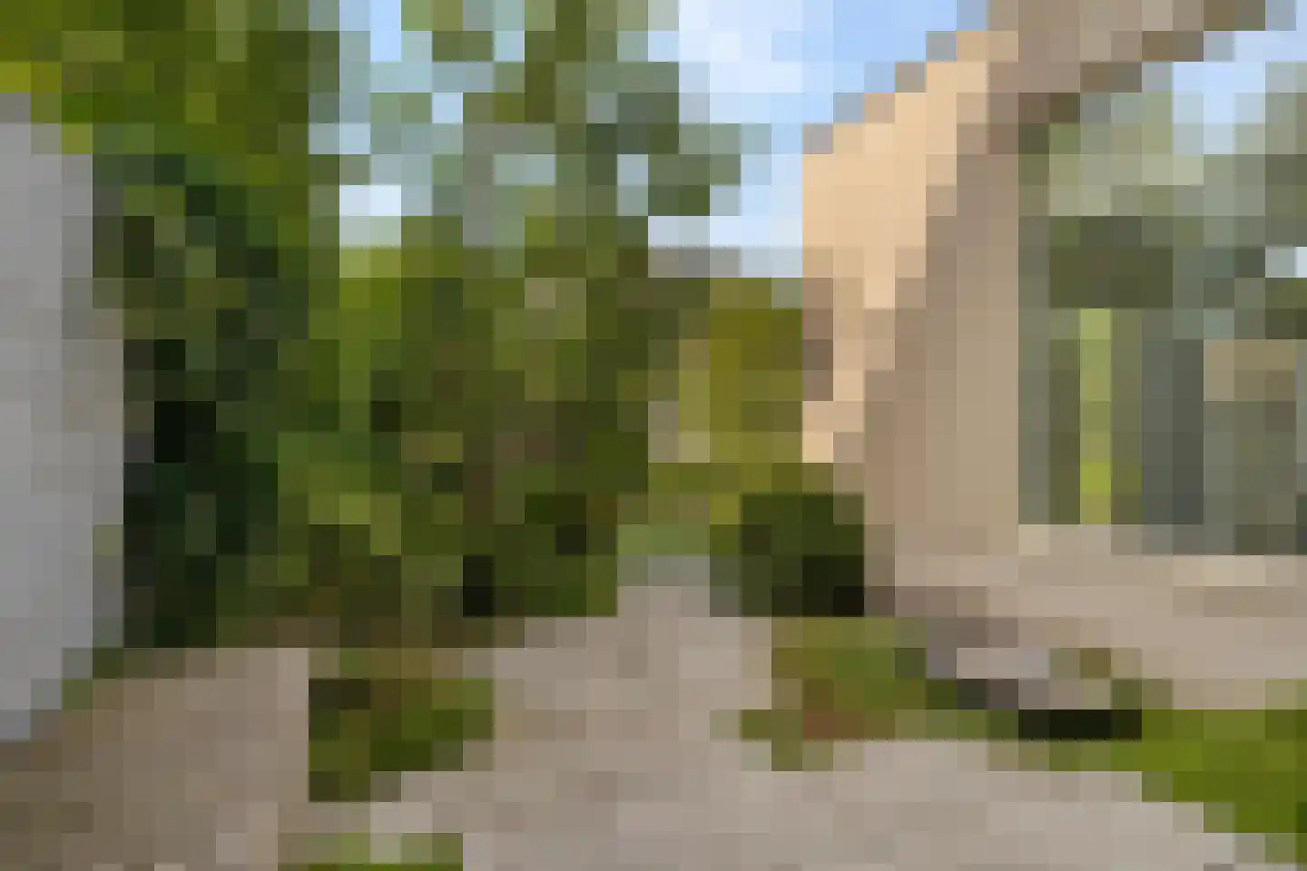 Regentesselaan 31 Breda thumbnail 85