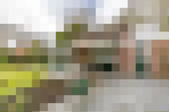 Regentesselaan 31 Breda thumbnail 86