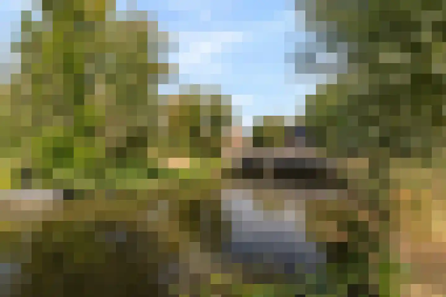 Regentesselaan 31 Breda thumbnail 97