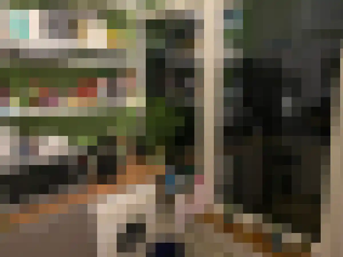 Regentesselaan 312 Den Haag thumbnail 5