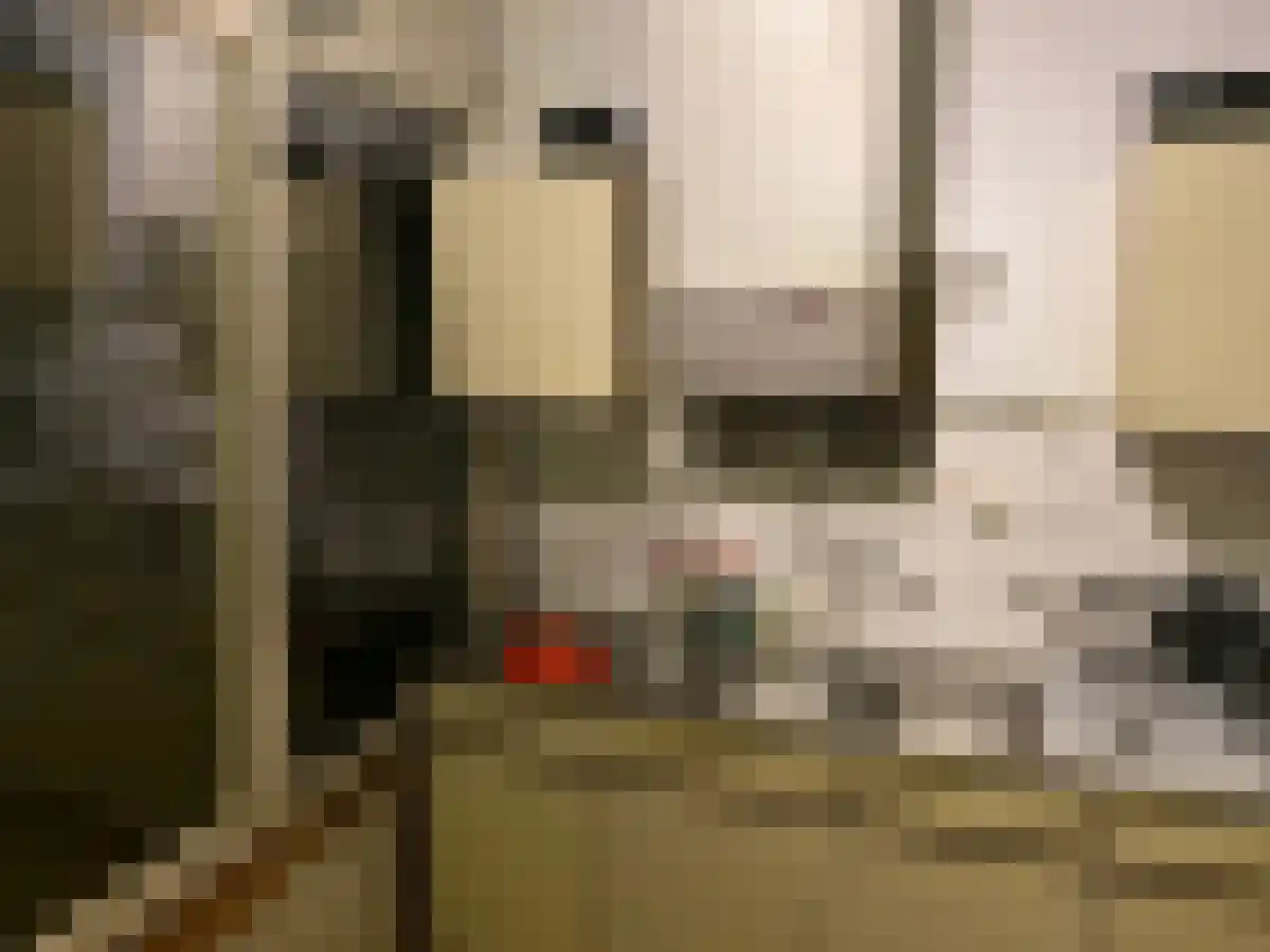 Regentesselaan 312 Den Haag thumbnail 6