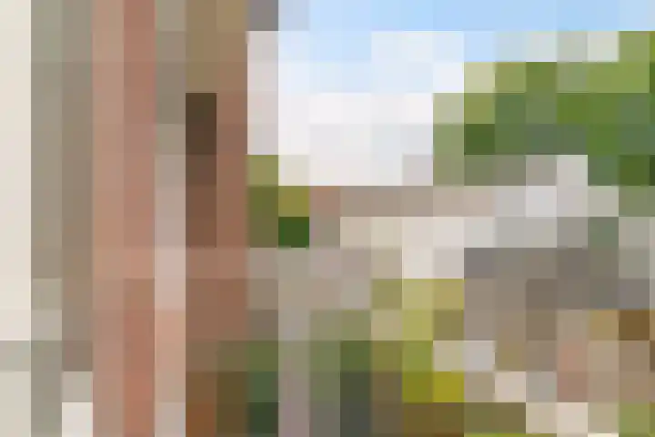 Regentesselaan 321 Den Haag thumbnail 15