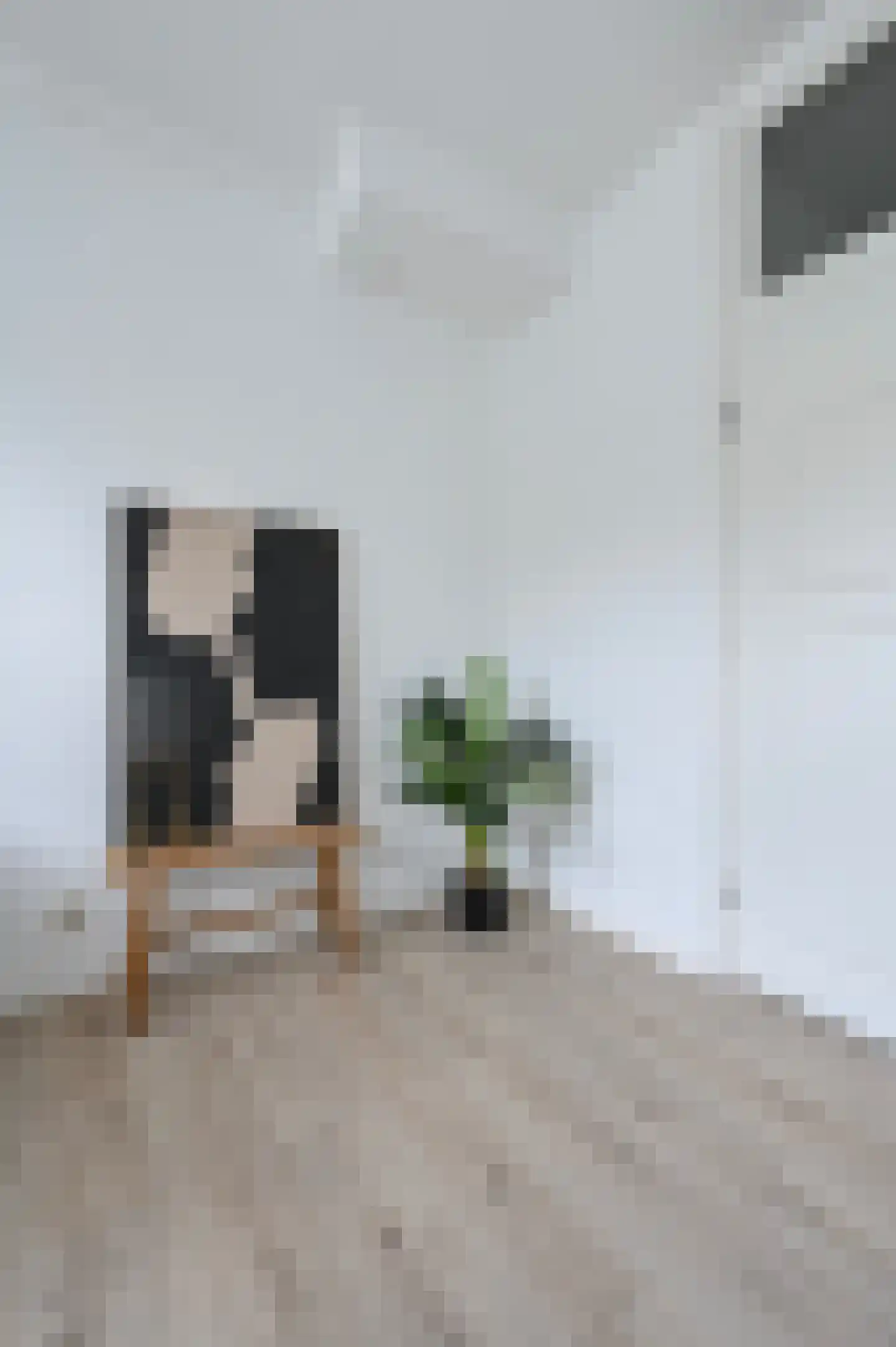 Regentesselaan 347 Den Haag thumbnail 13