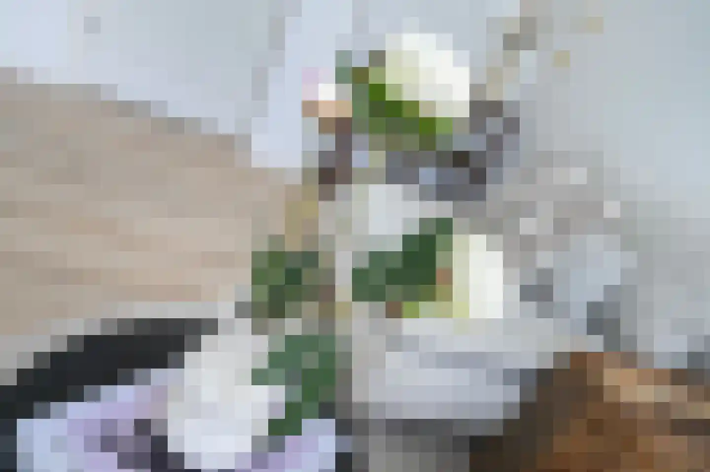 Regentesselaan 347 Den Haag thumbnail 18