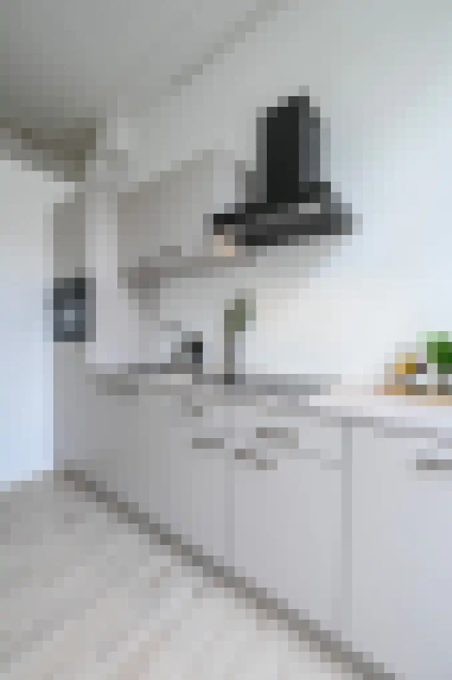 Regentesselaan 347 Den Haag thumbnail 27