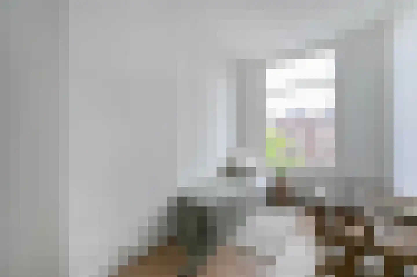 Regentesselaan 347 Den Haag thumbnail 41