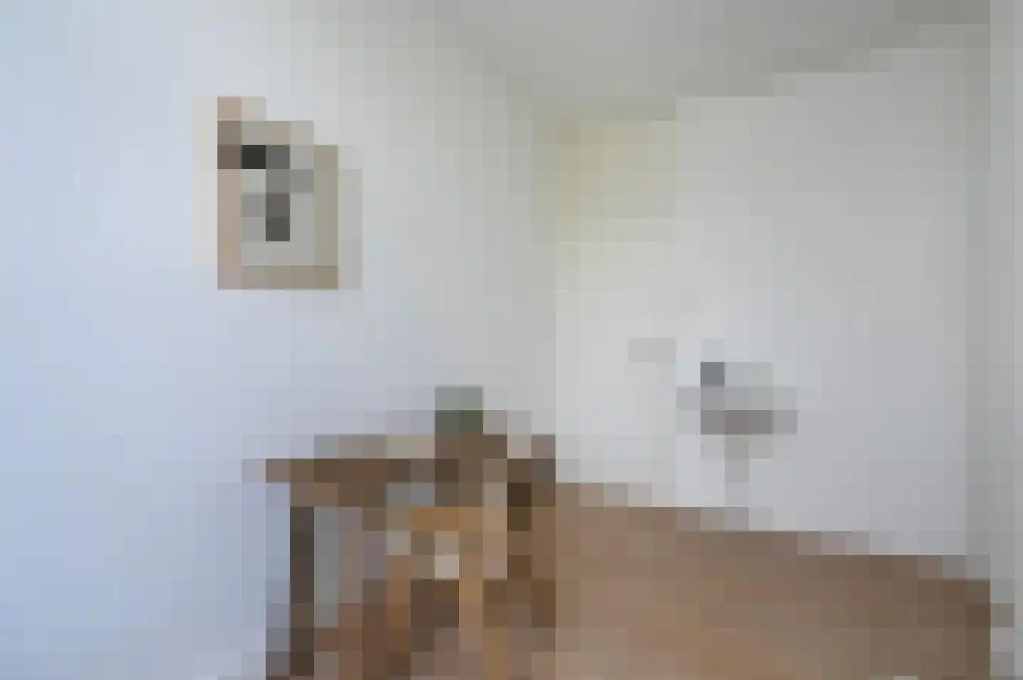 Regentesselaan 347 Den Haag thumbnail 42