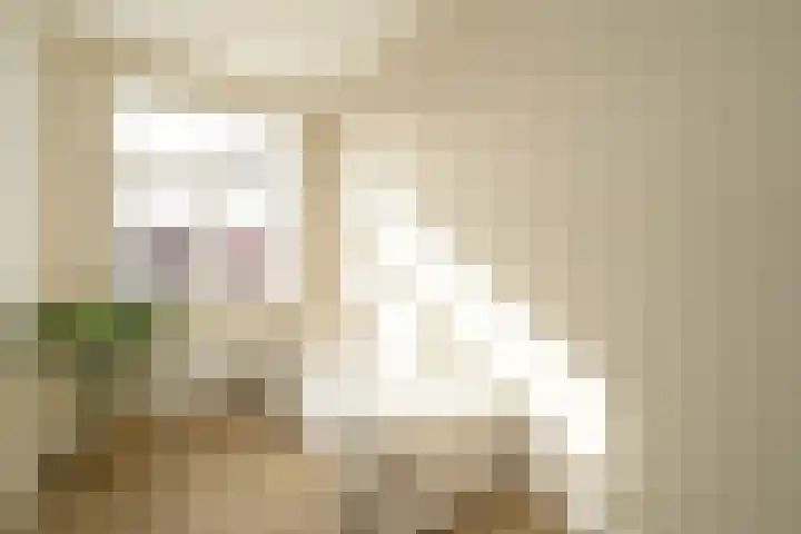 Regentesselaan 351 A Den Haag thumbnail 17