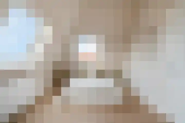 Regentesselaan 351 B Den Haag thumbnail 24