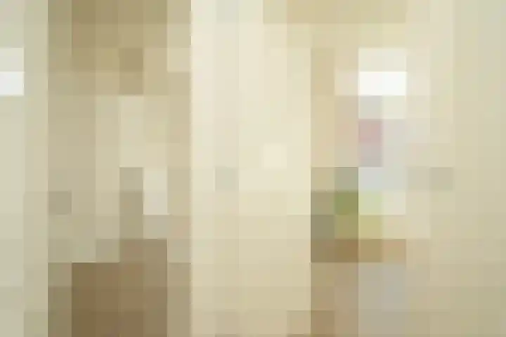 Regentesselaan 351 Den Haag thumbnail 14