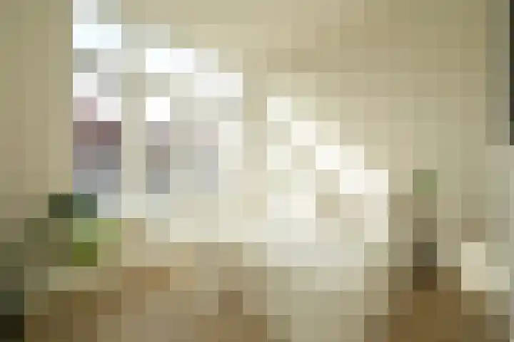 Regentesselaan 351 Den Haag thumbnail 15