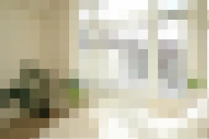 Regentesselaan 351 Den Haag thumbnail 17