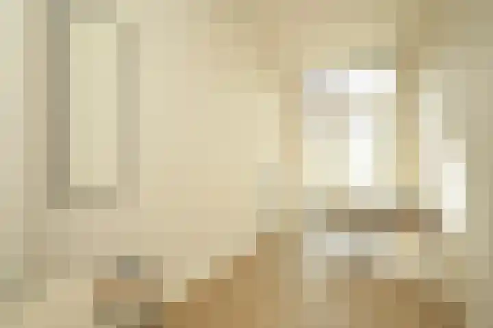 Regentesselaan 351 Den Haag thumbnail 18