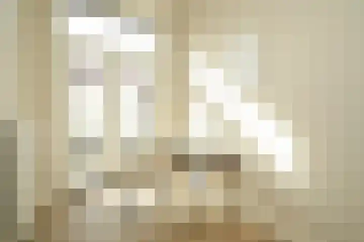 Regentesselaan 351 Den Haag thumbnail 19