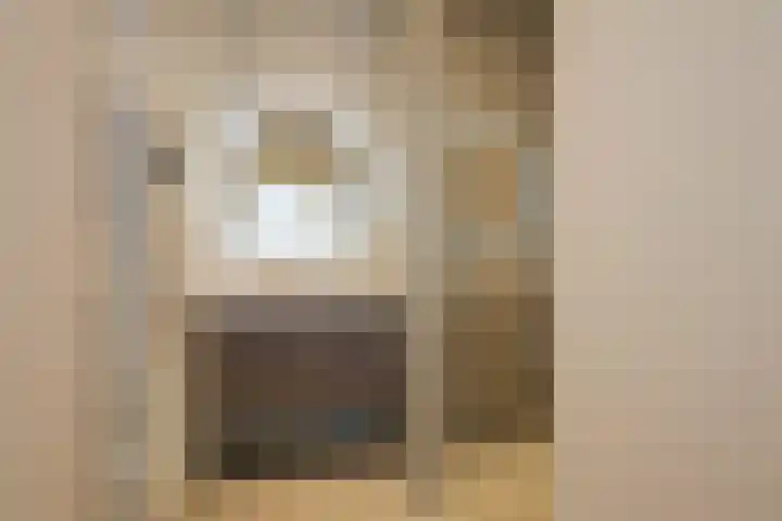 Regentesselaan 351 Den Haag thumbnail 22