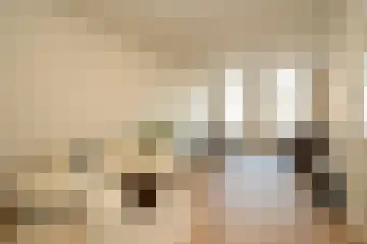 Regentesselaan 351 Den Haag thumbnail 4